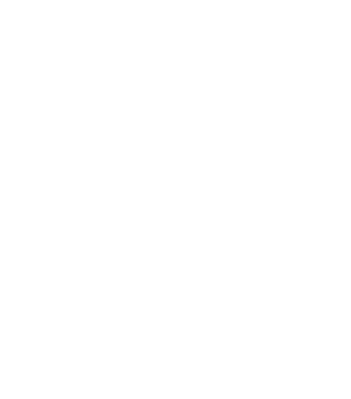 Carrosserie onderdelen