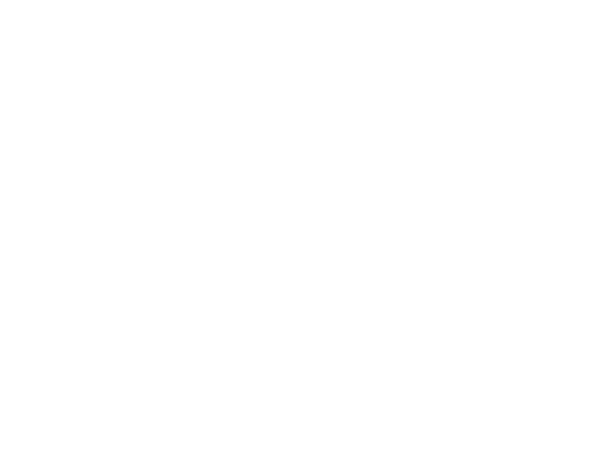 Spiegels